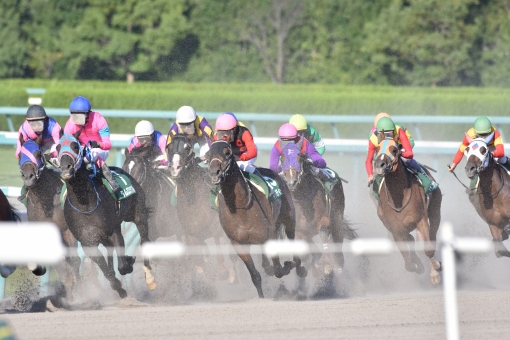競馬が当たる方法,競馬,当たる,方法