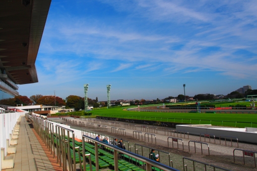競馬が当たる方法,競馬,当たる,方法